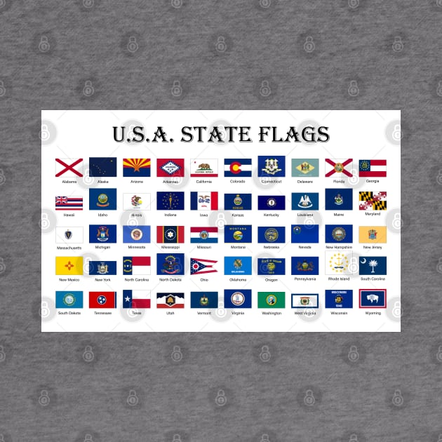 United States of America State flags by SPJE Illustration Photography